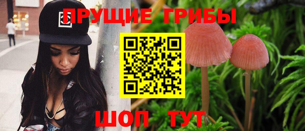 закладки  Галлюциногенные грибы Psilocybine cubensis  Псилоцибиновые грибы Cubensis  Вход с VPN  Дюртюли 